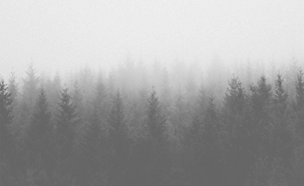 la-innovacion-es-hacer-algo-nuevo-y-lograr-que-sea-sostenible-en-el-tiempo Fundación Innovación Bankinter