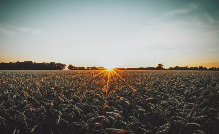 Agritech: El camino hacia la sostenibilidad alimentaria