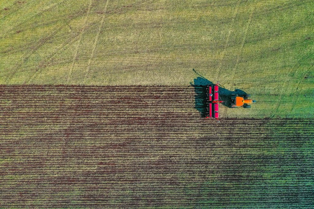 campo de cultivos mejorados genéticamente