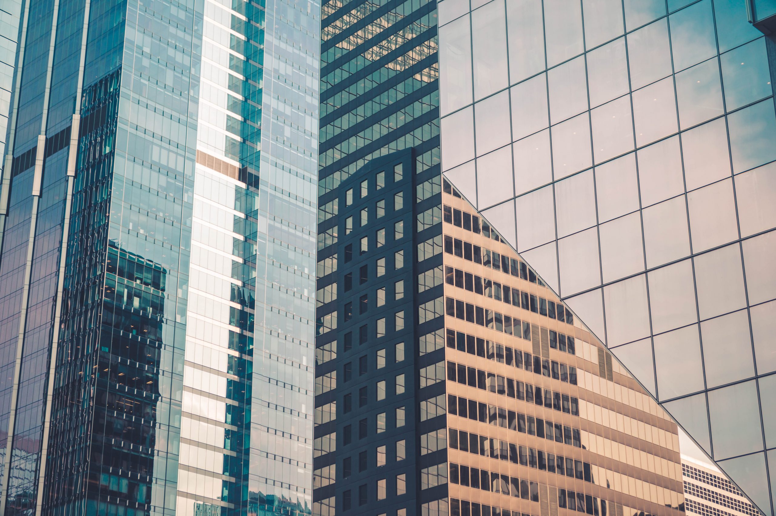 Cultura y liderazgo: las claves del éxito de la transformación empresarial