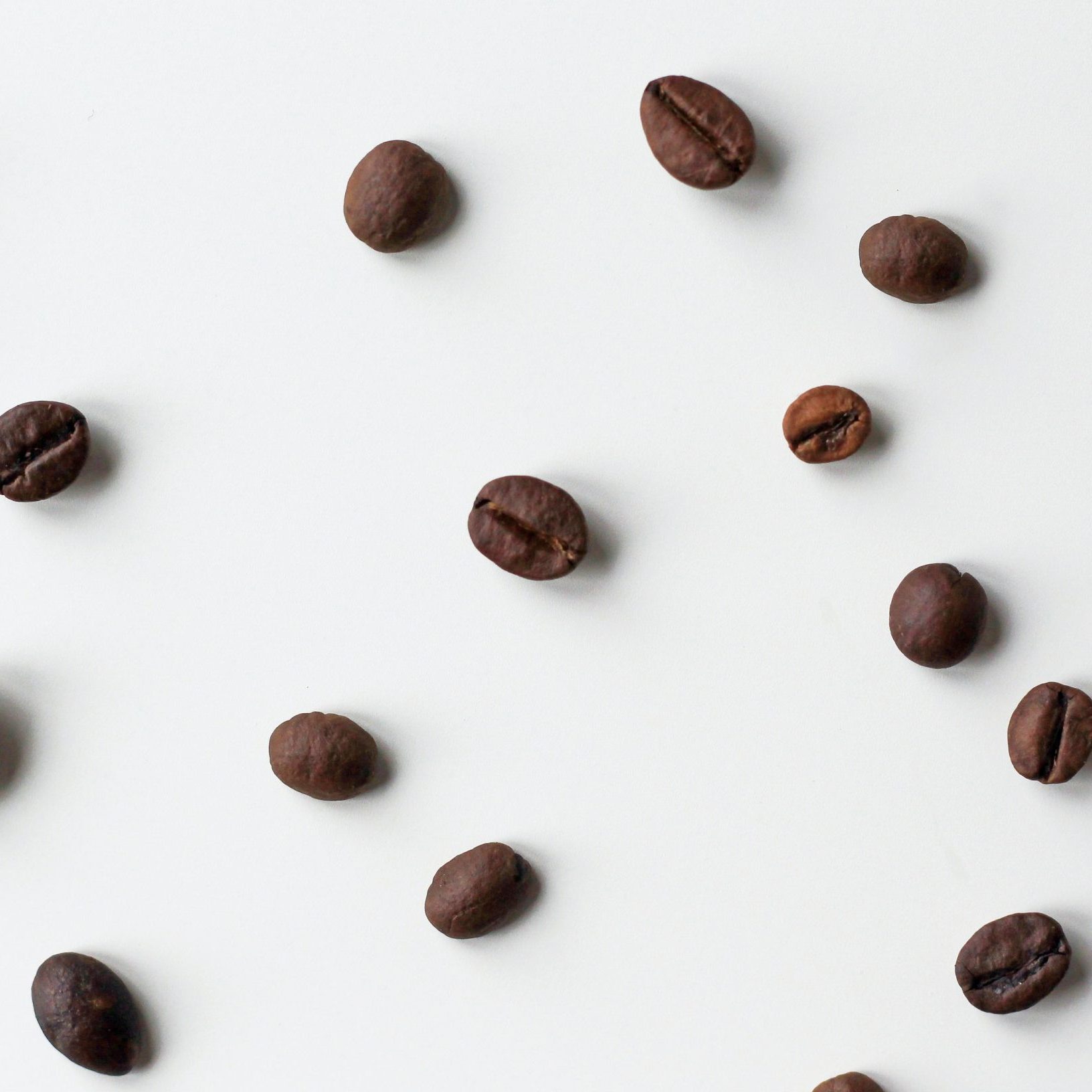 Nueva edición del Café con Emprendedores con David AmorÃn, CEO de Jotelulu