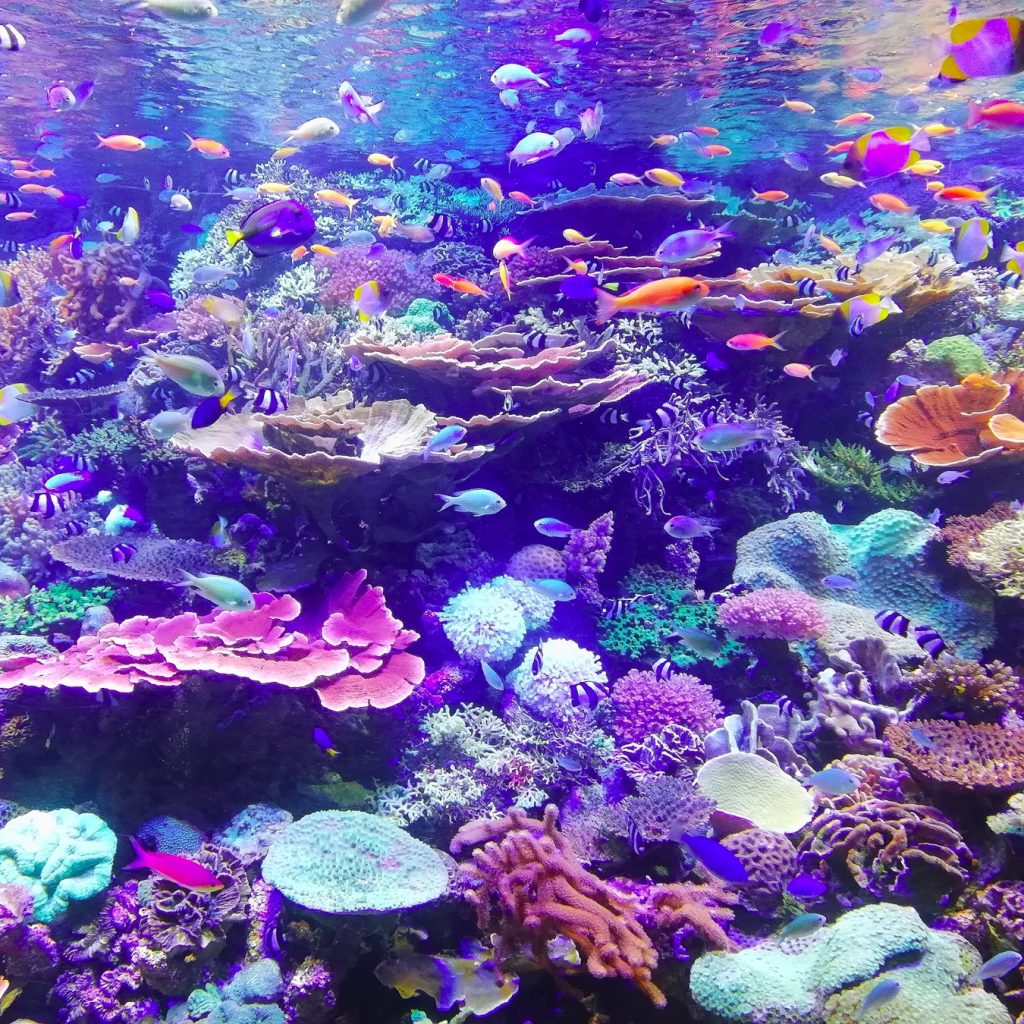 La exploración del océano: un desafío más complejo que el del espacio