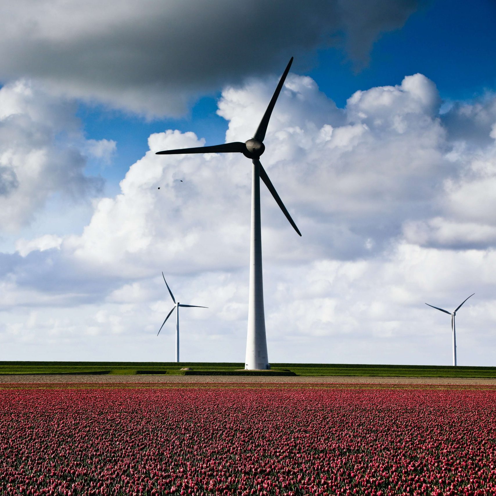 Startups climate tech: en primera línea contra el cambio climático