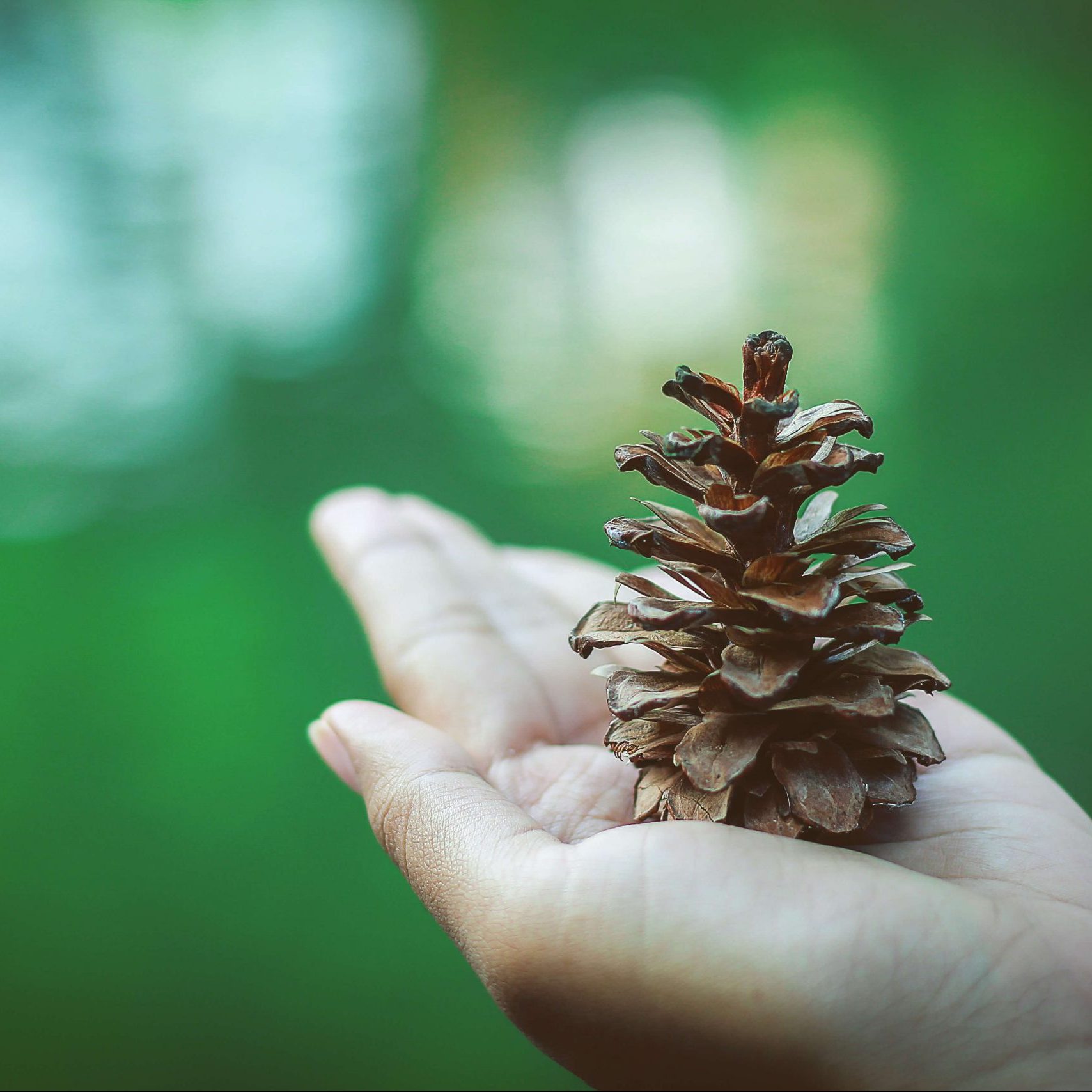 Compromiso medioambiental: startups que miden y neutralizan su huella de carbono 