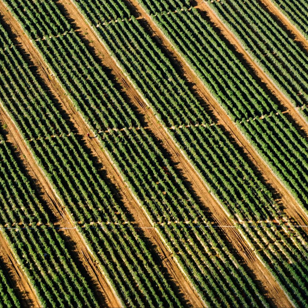 Fundación Innovación bankinter agritech foodtech cleantech