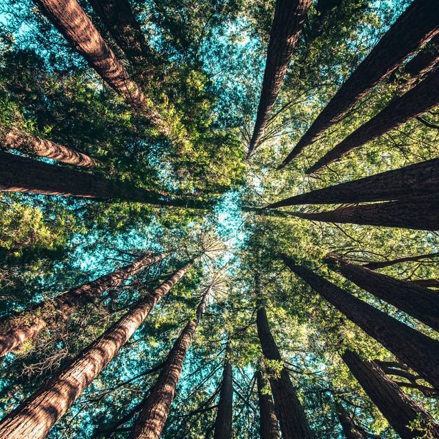 Serie tecnologías limpias: medio ambiente y recursos naturales