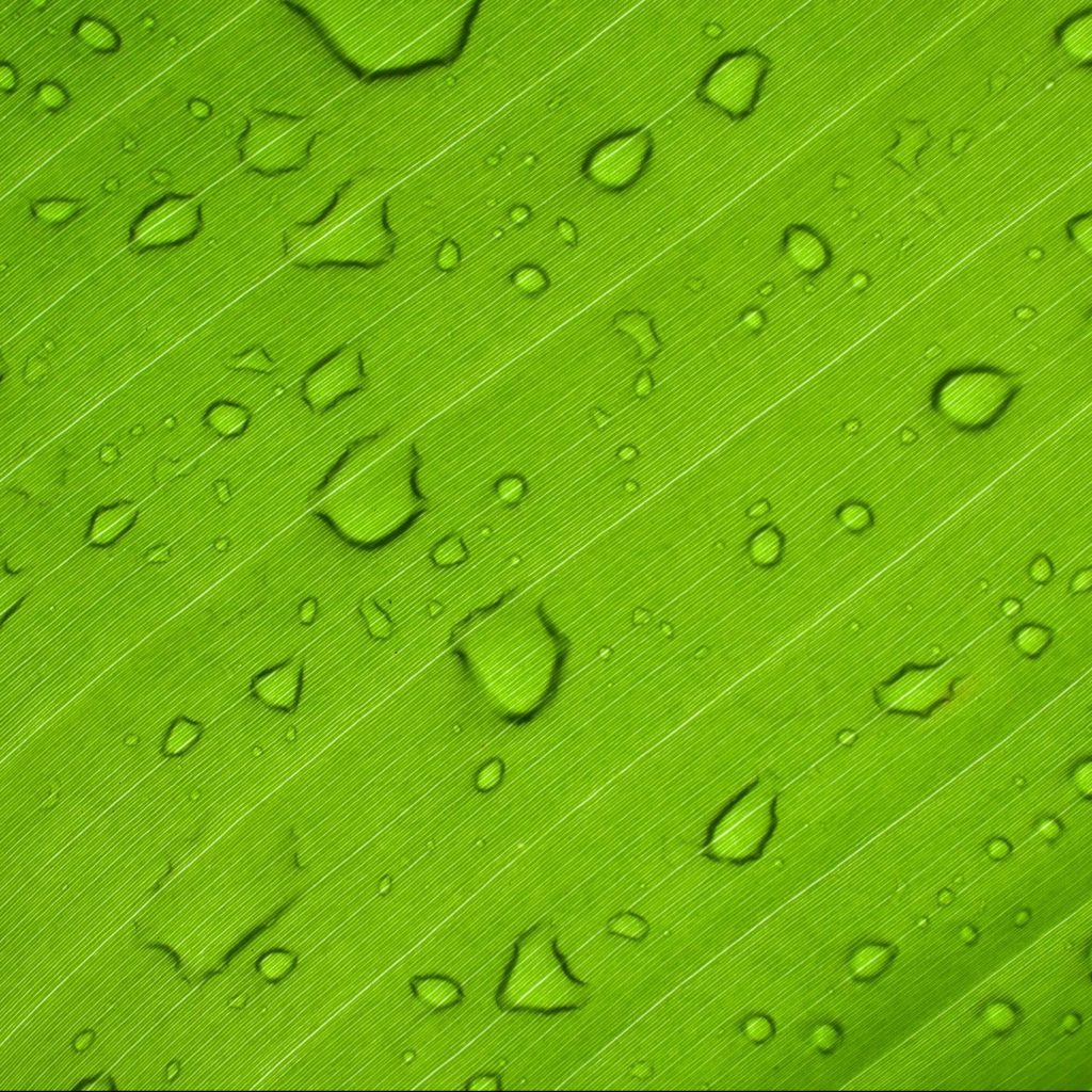 Fundación Innovación Bankinter - hidrógeno