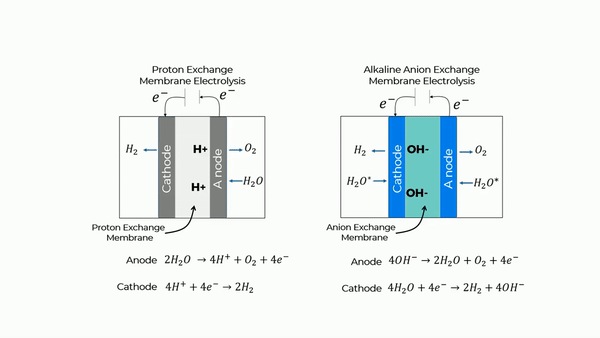 Alchemr