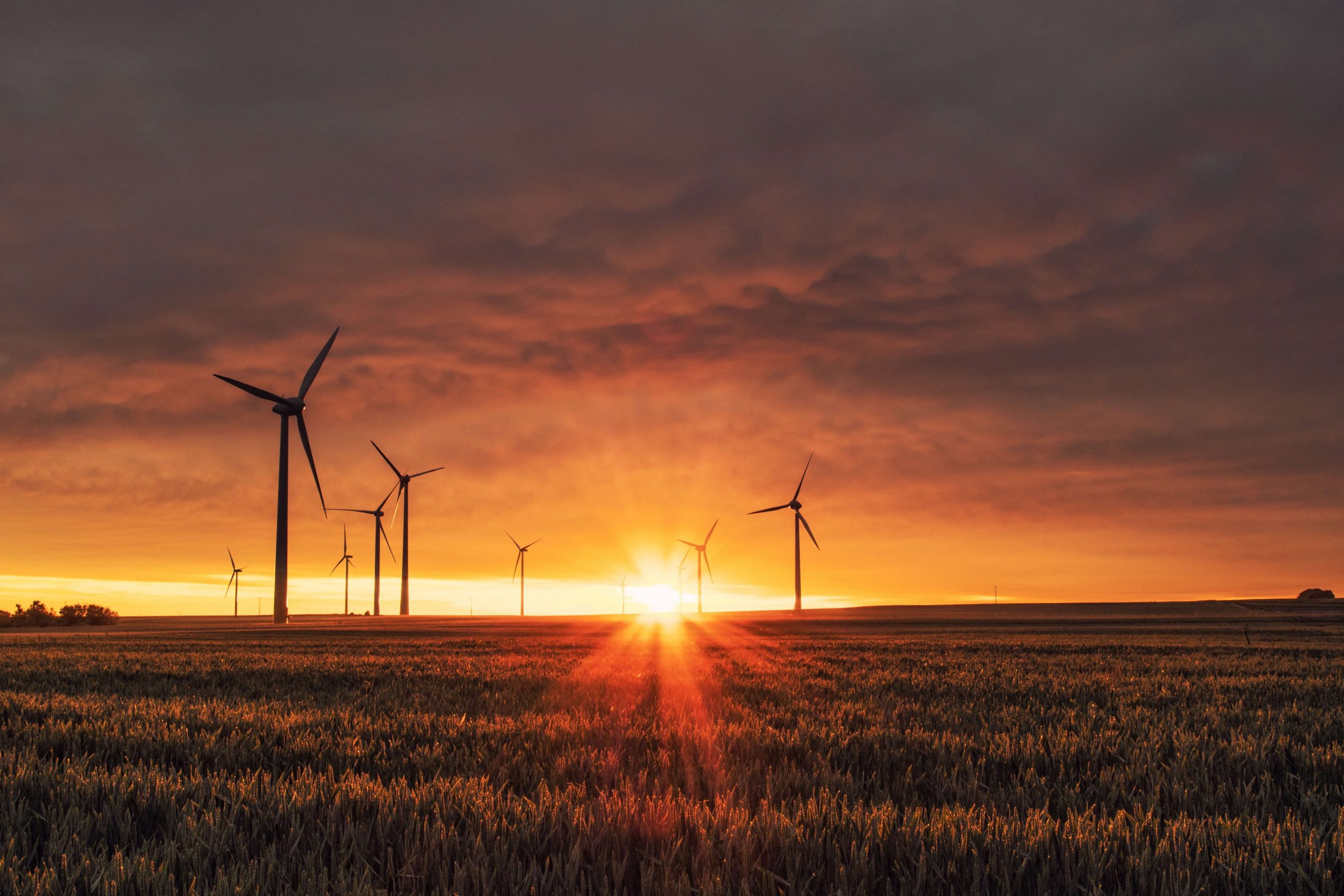 Energía para construir un mundo Net Zero