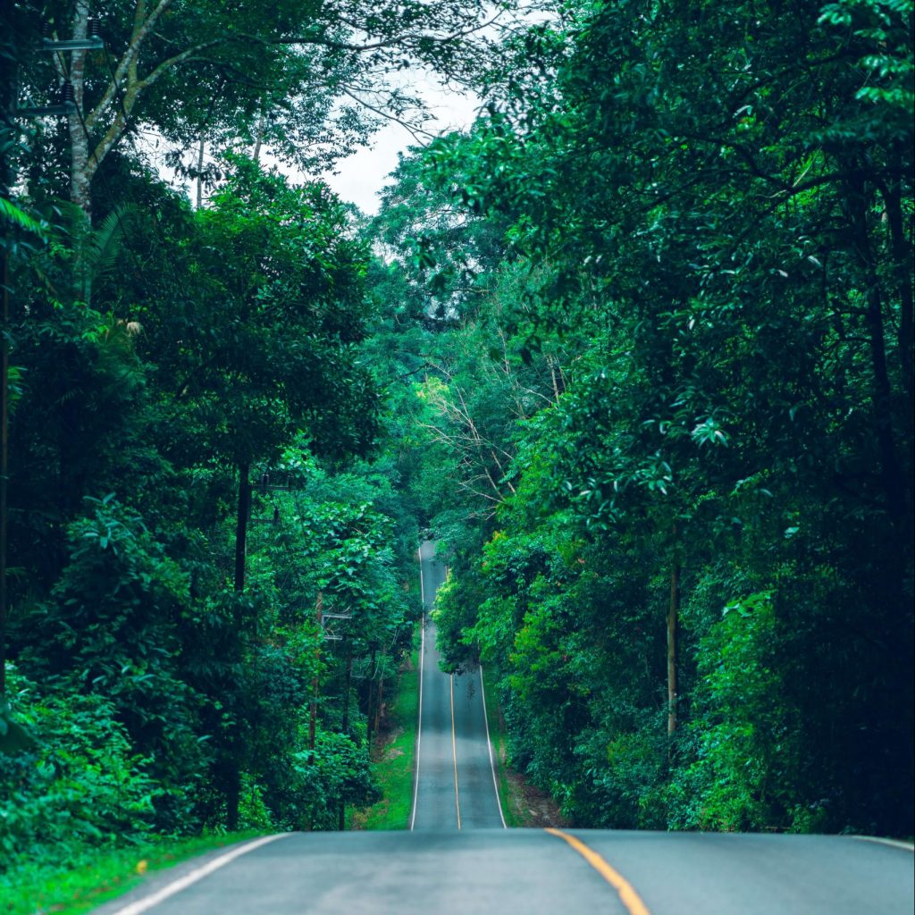 La Fundación Innovación Bankinter presenta cómo construir un mundo NetZero