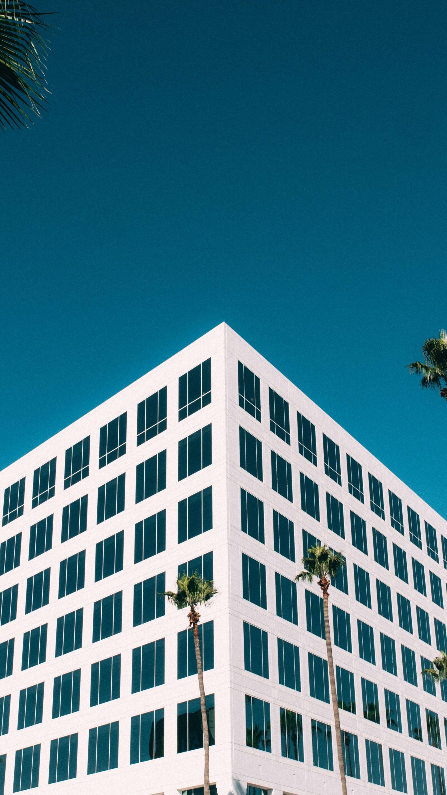 Las scaleups españolas doblan su facturación en 2021 y se espera un crecimiento de más de un 50% en 2022