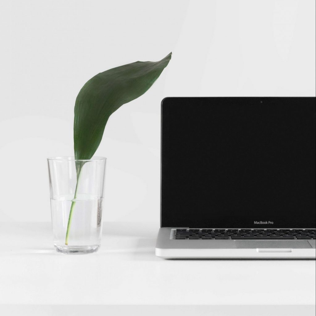 Fundación Innovación Bankinter - agritech