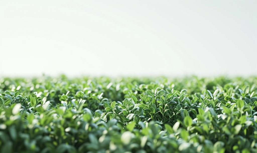 Emprendimiento para afrontar el reto de la alimentación mundial