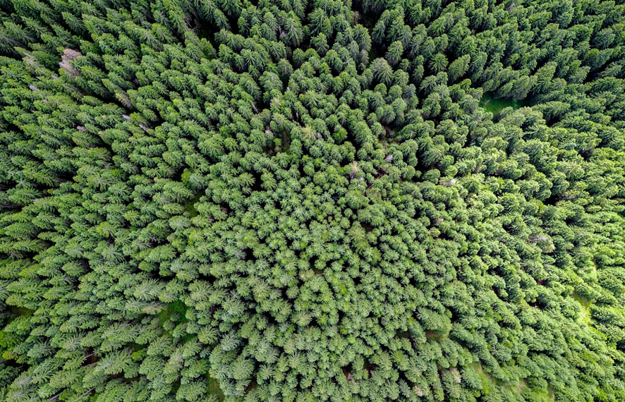 Types of business innovation for decarbonization