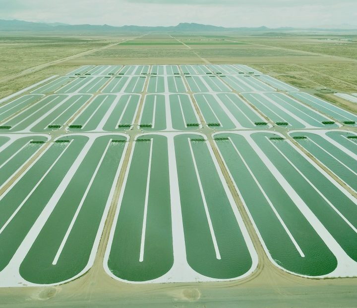 Transformation of deserts into cultivation areas