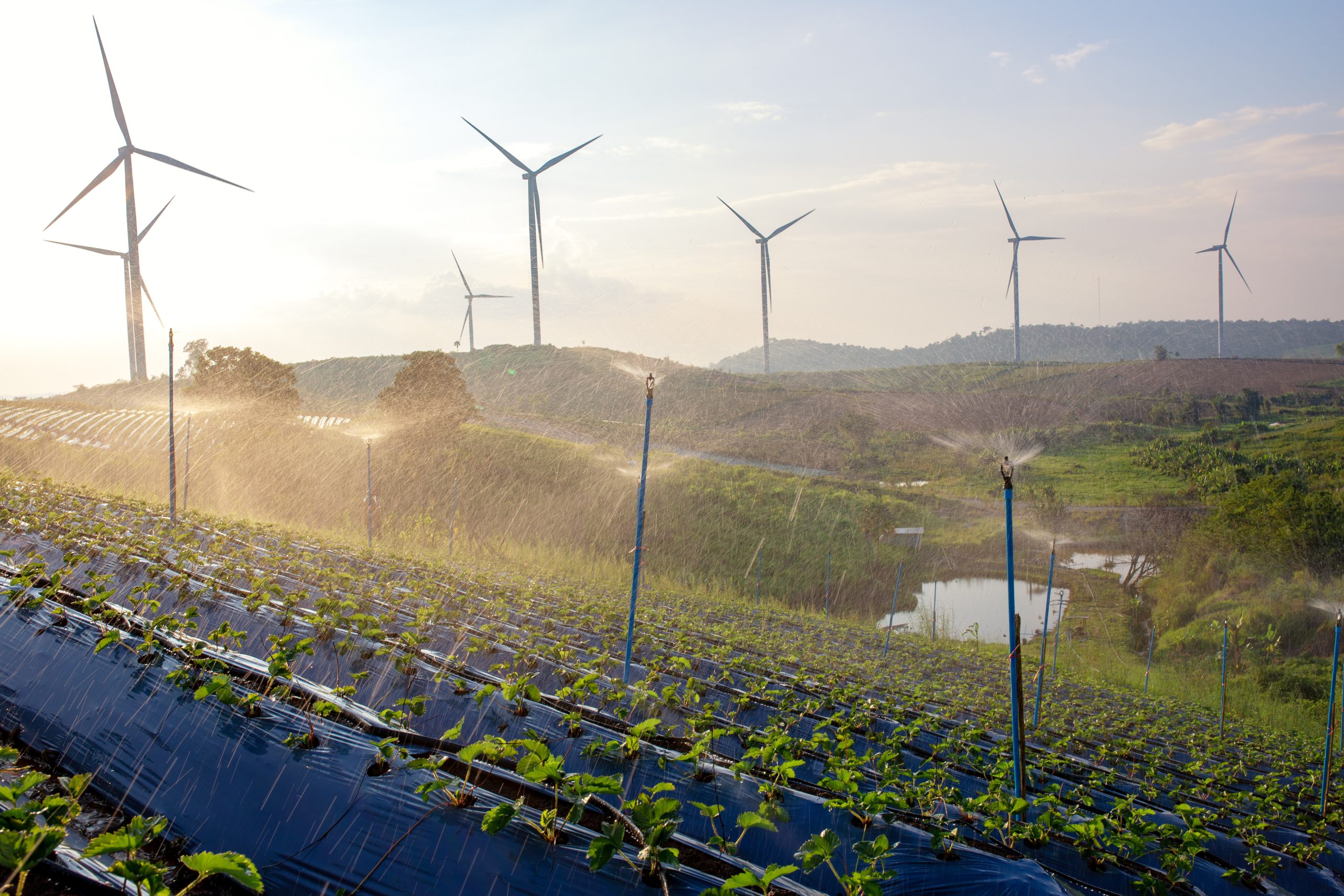 Innovación en la Reutilización y Sostenibilidad Hídrica