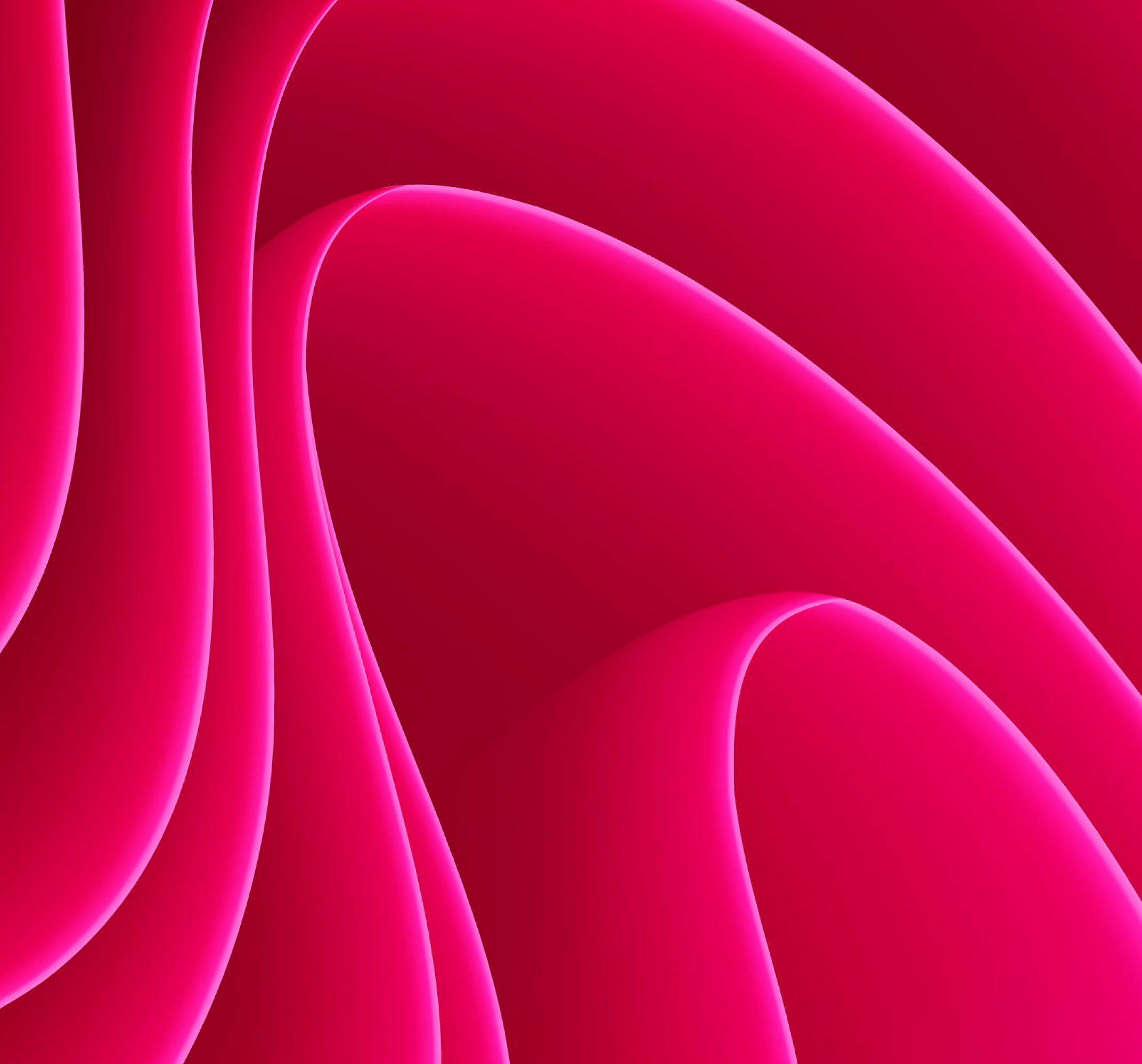 An industry in the making: from the laboratory to the market