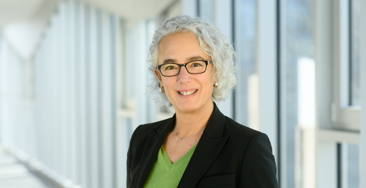 Energía de fusión: el «momento Eurofighter» para la soberanía energética de Europa