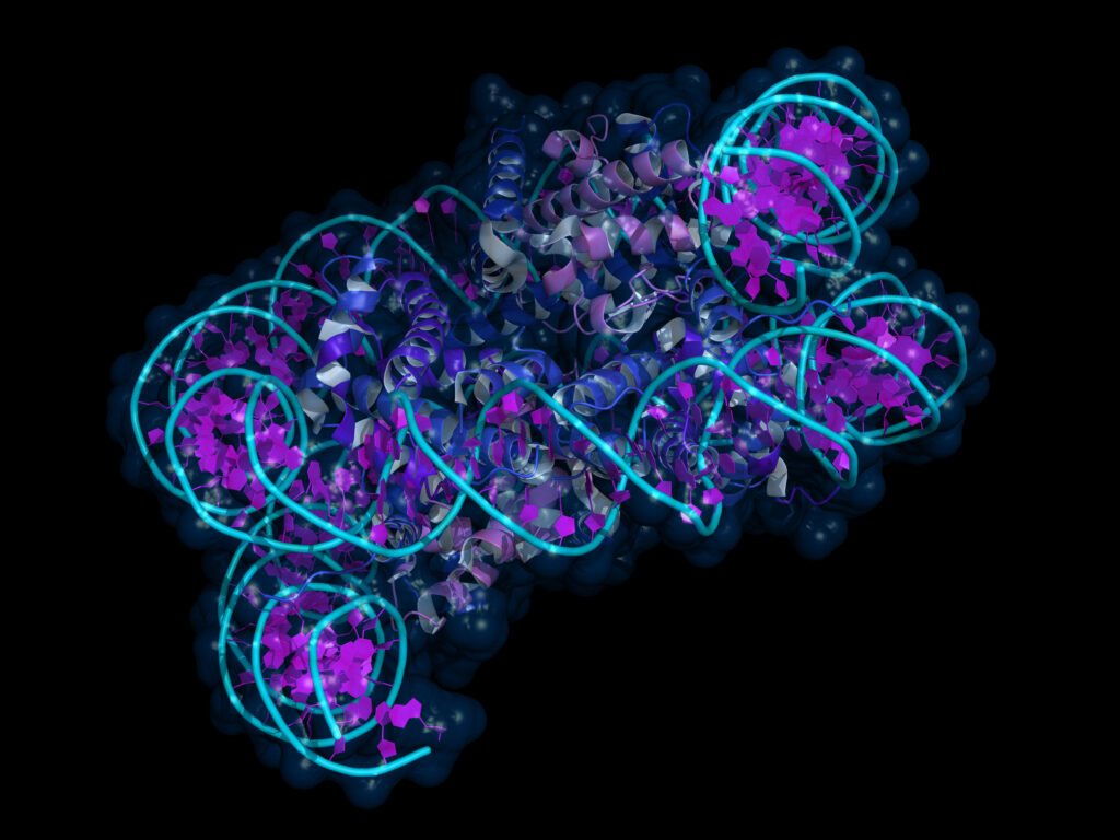 Qué es el epigenoma y cómo se altera con los hábitos de vida