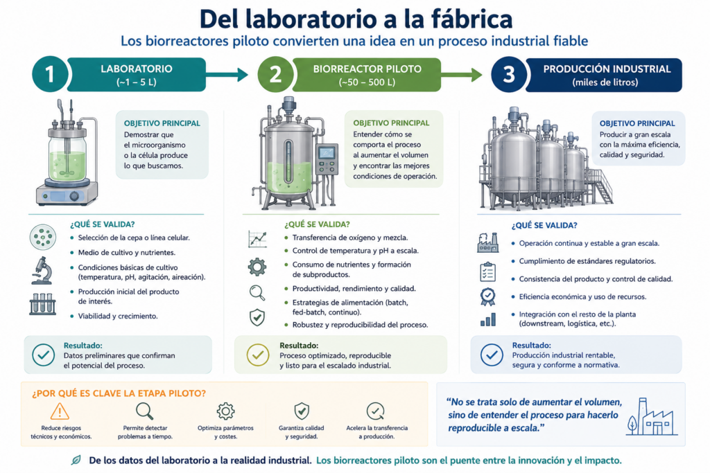 biorreactor piloto -  del laboratorio a la fabrica